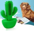 Cactus Shaped Dog Toothbrush Stick-Effective Teeth Cleaning Massager, Natural Rubber, Bite Resistant Chew Toys