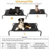 Elevated Dog Cot Large Size