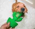 Cactus Shaped Dog Toothbrush Stick-Effective Teeth Cleaning Massager, Natural Rubber, Bite Resistant Chew Toys