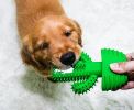 Cactus Shaped Dog Toothbrush Stick-Effective Teeth Cleaning Massager, Natural Rubber, Bite Resistant Chew Toys