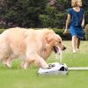 Water Fountain Dispenser, Step-on Activated Sprinkler