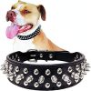 Spiked Studded Dog Collar with a Squeak Ball Gift